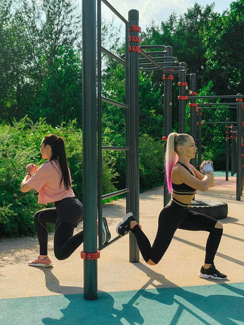 Calisthenics Station mit Bogenhangelleiter, Sprossenwand und Mehrfach-Reckstangen